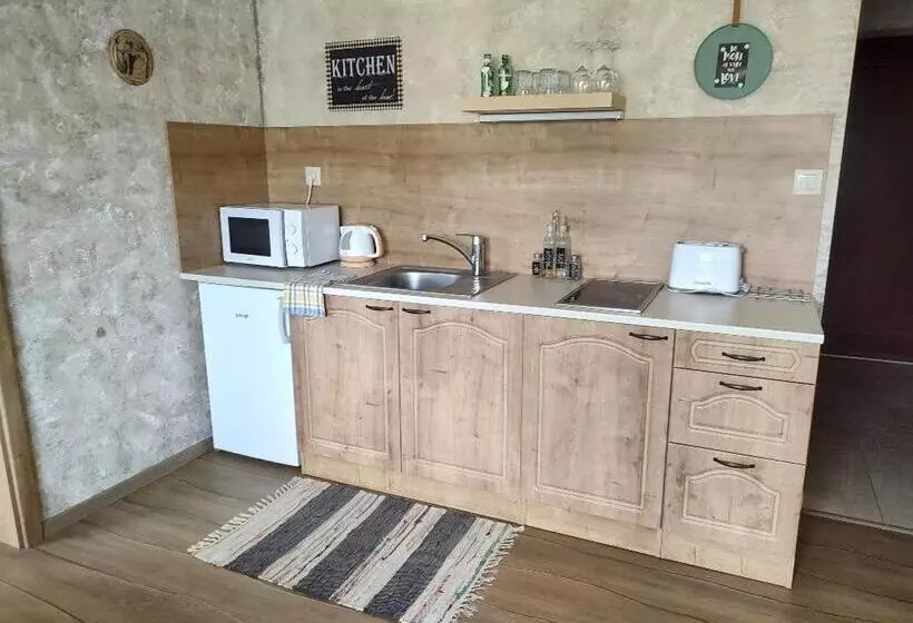 ペンション Ubytování U Janča