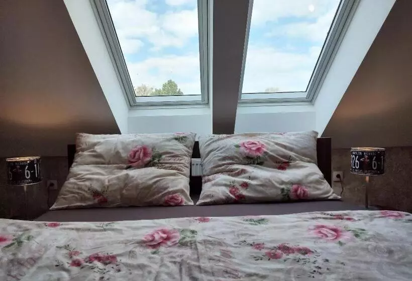 ペンション Ubytování U Janča