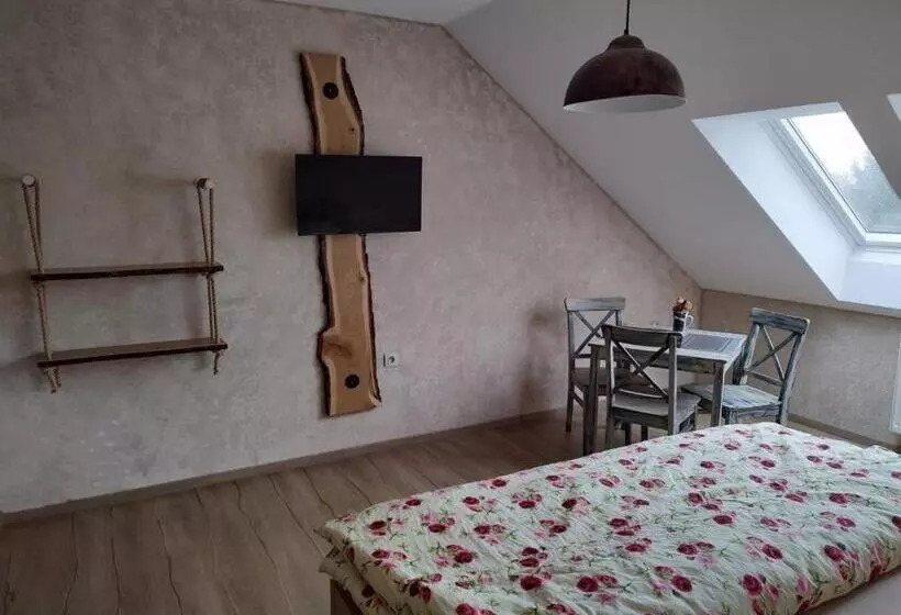 ペンション Ubytování U Janča