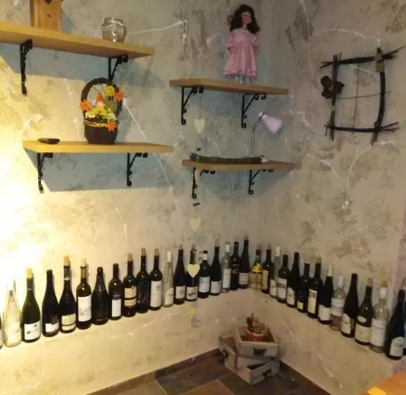 ペンション Ubytování U Janča