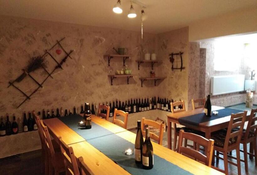 بنسيون Ubytování U Janča