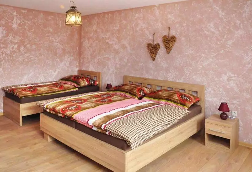 ペンション Ubytování U Janča