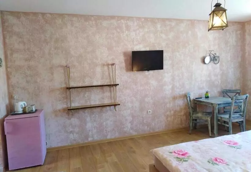 ペンション Ubytování U Janča