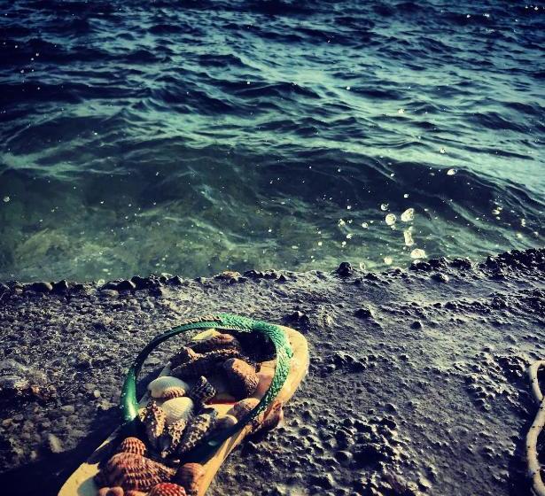 پانسیون Arianiti Guesthouse