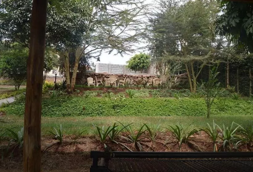 پانسیون Jari Inn Bistro