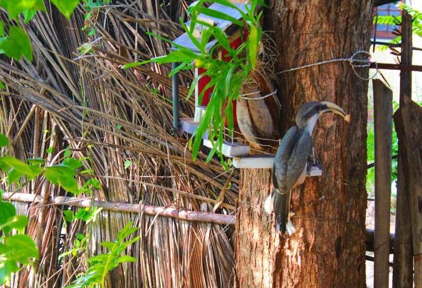 بنسيون The Courtyard Villa
