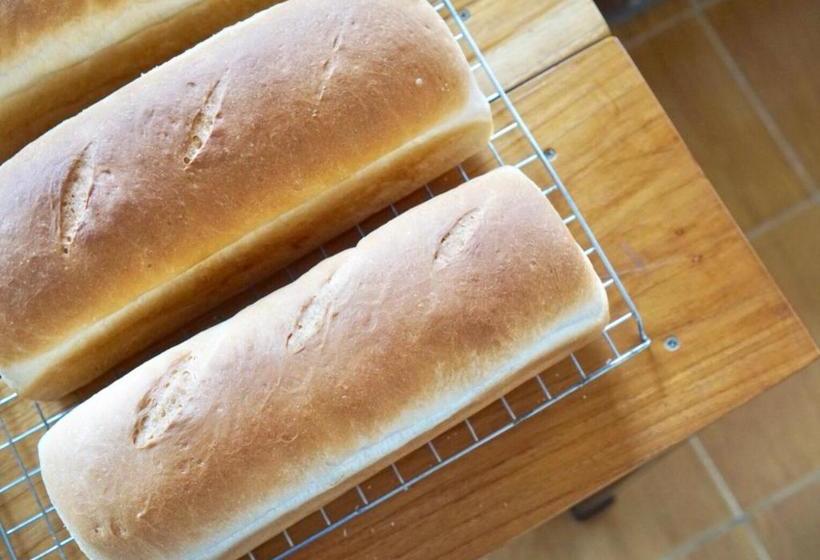 پانسیون Tourist Inn