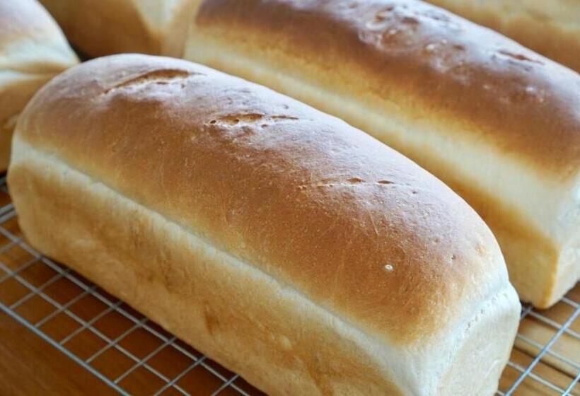 پانسیون Tourist Inn