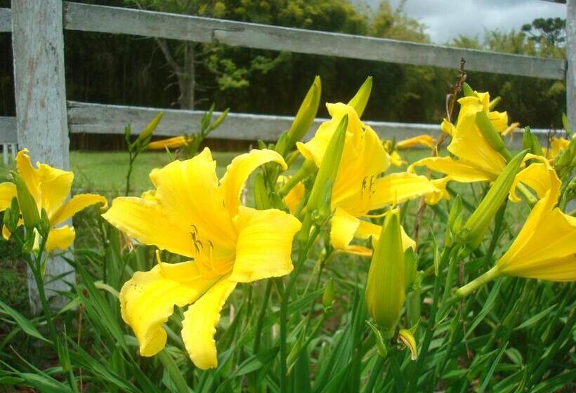 Hotelli Fazenda Alvorada