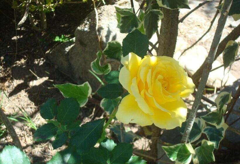 Hotelli Fazenda Alvorada