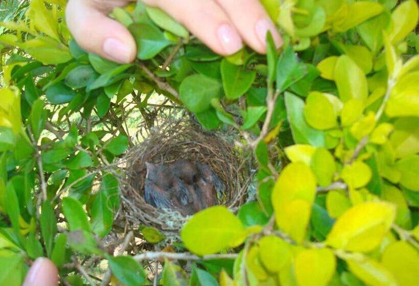 Hotelli Fazenda Alvorada