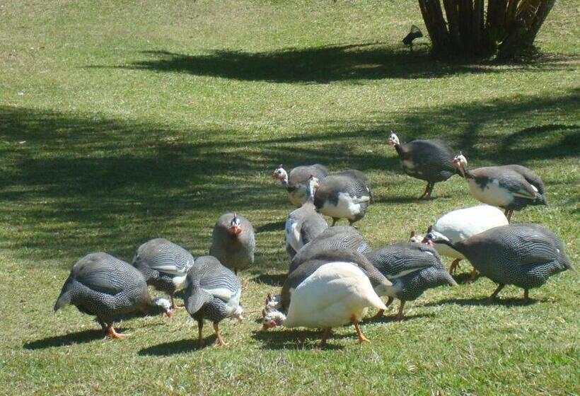 Hotelli Fazenda Alvorada