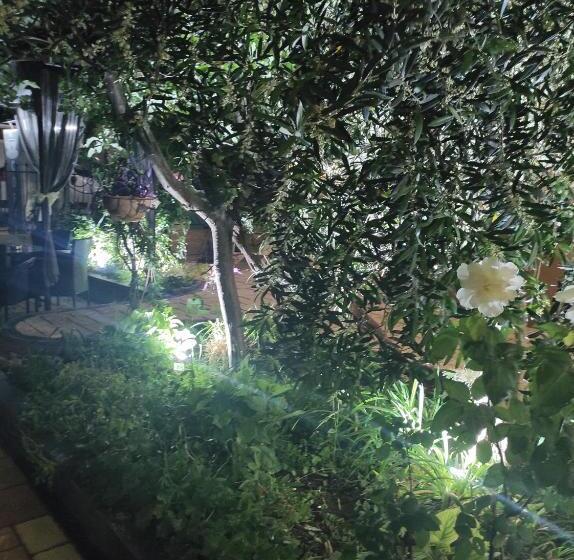 پانسیون Guest House Adriya