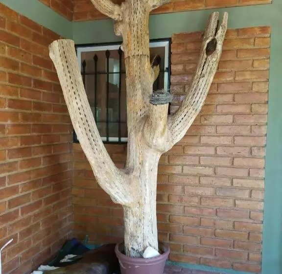 ユースホステル Posada Cerro Los Nogales