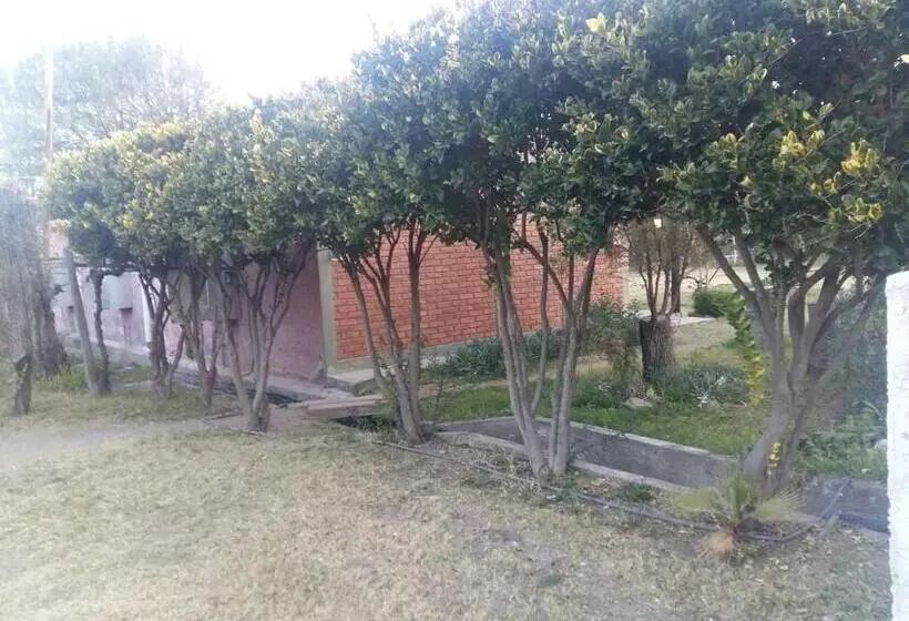 ユースホステル Posada Cerro Los Nogales