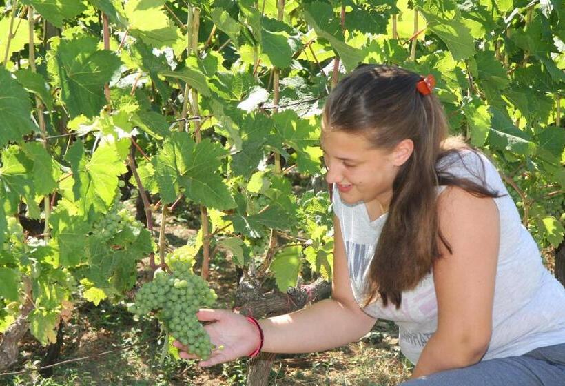 هتل Vržina Farm House Skadar Lake