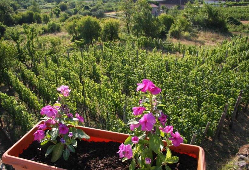 هتل Vržina Farm House Skadar Lake