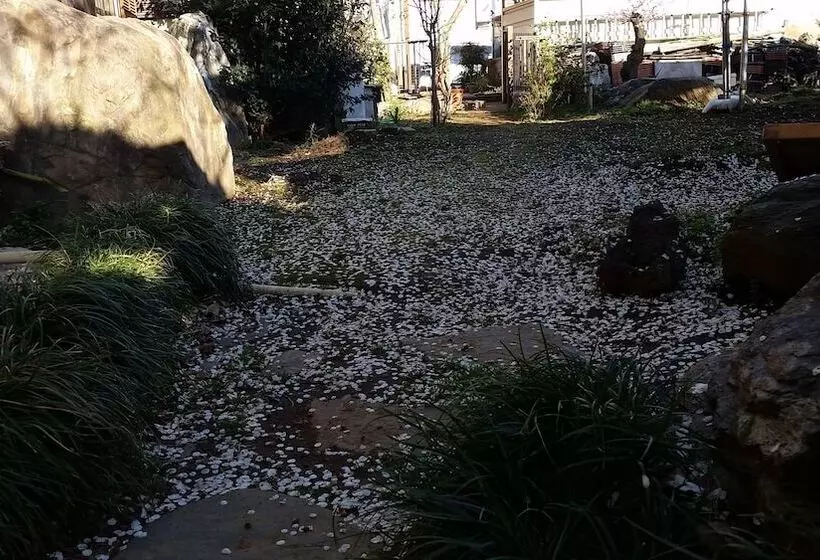 Majatalo Cherry House Is Direct To Narita,haneda Ap, Disney, Asakusa, Skytree Tower, Tokyo