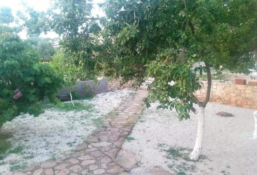 پانسیون Guesthouse Dollomaja Ksamil