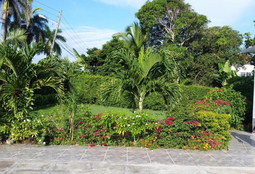 پانسیون Lorenton Hideaway