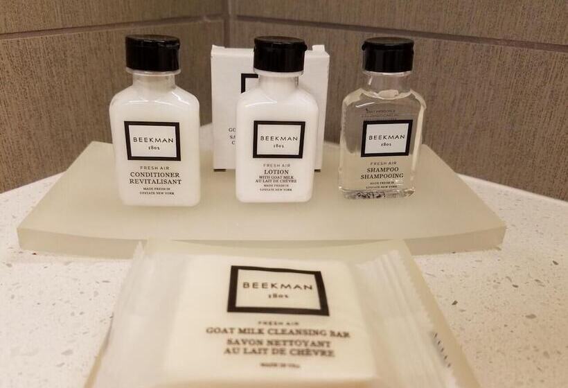 Alder Hotel Uptown New Orleans