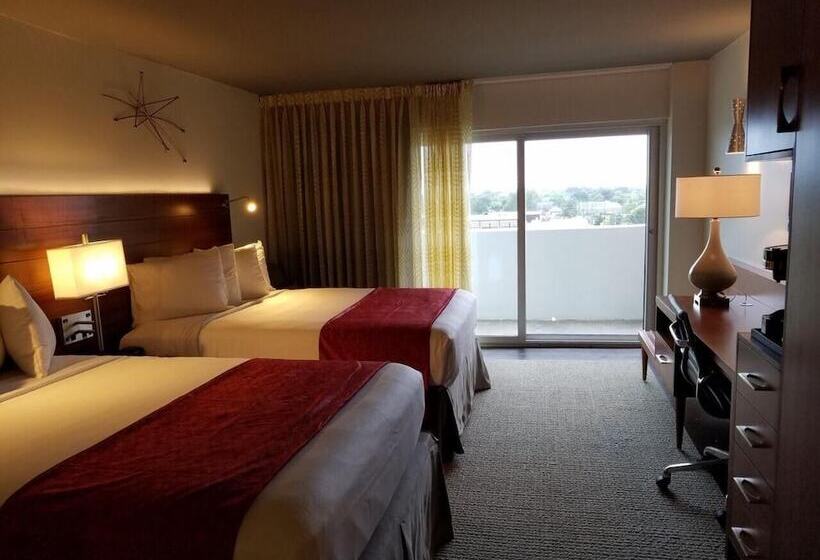 Alder Hotel Uptown New Orleans