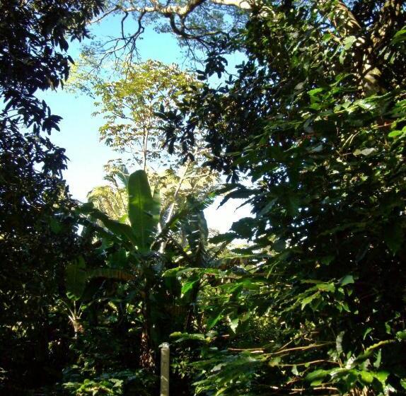 ペンション Chalés Sítio Do Alemão