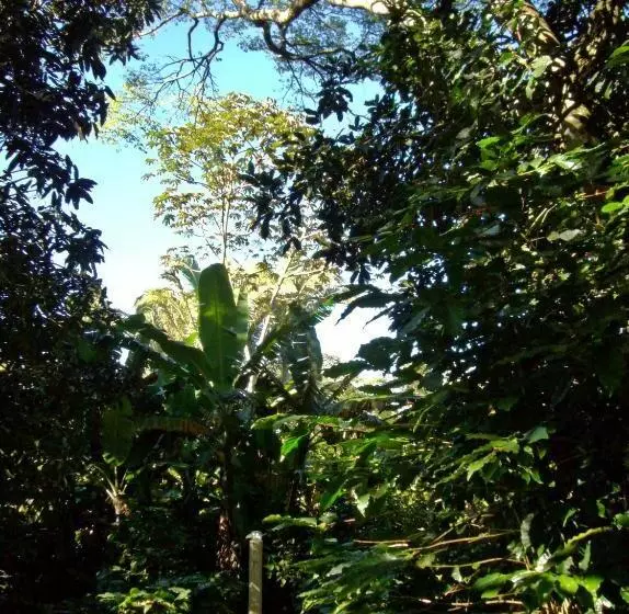 Majatalo Chalés Sítio Do Alemão