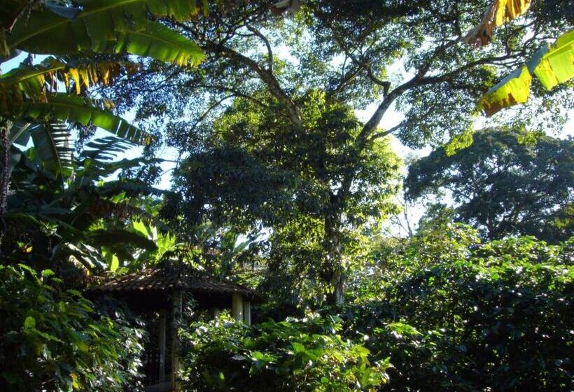 ペンション Chalés Sítio Do Alemão