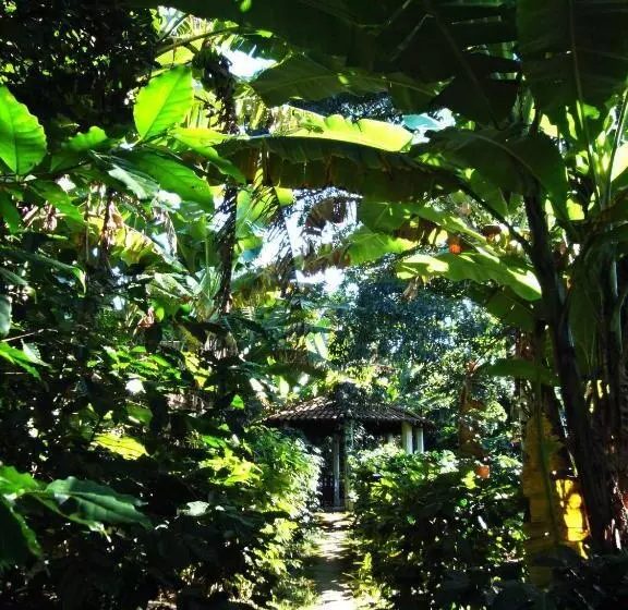 Majatalo Chalés Sítio Do Alemão