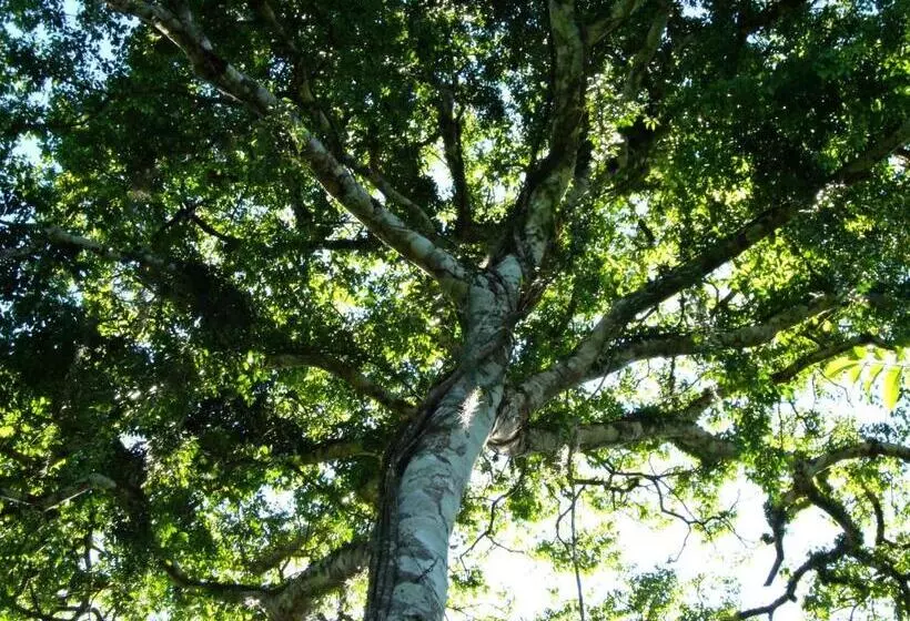 Majatalo Chalés Sítio Do Alemão