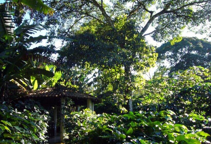 ペンション Chalés Sítio Do Alemão