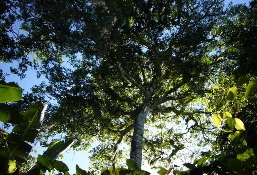 Majatalo Chalés Sítio Do Alemão