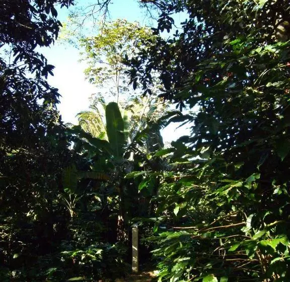 Majatalo Chalés Sítio Do Alemão