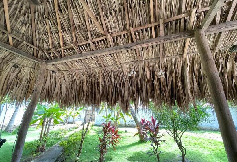 پانسیون Costa De Vikingos