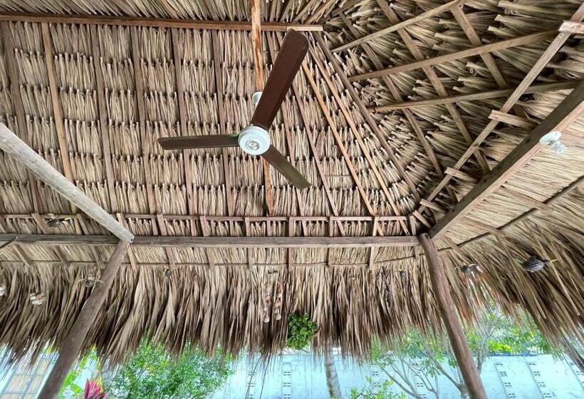 پانسیون Costa De Vikingos