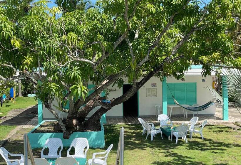 پانسیون Costa De Vikingos