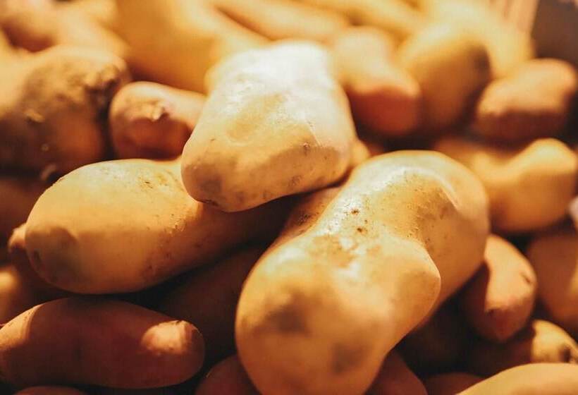 펜션 Kushiro Guesthouse Cook A Doodle Doo Hostel