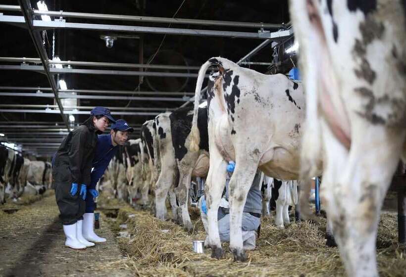 펜션 Kushiro Guesthouse Cook A Doodle Doo Hostel