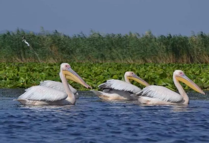 Pensiunea Coralia