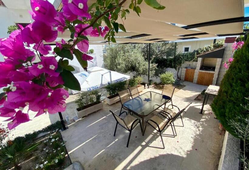 בית מלון כפרי Vila Ali