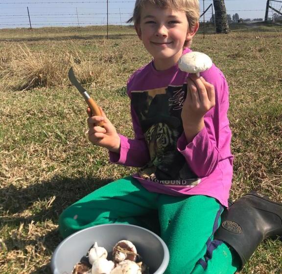 فندق A Farm Life