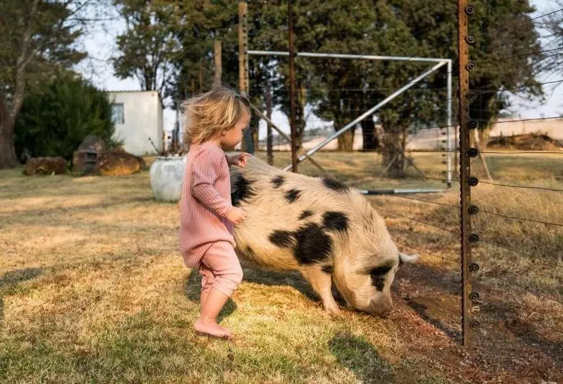 ホテル A Farm Life