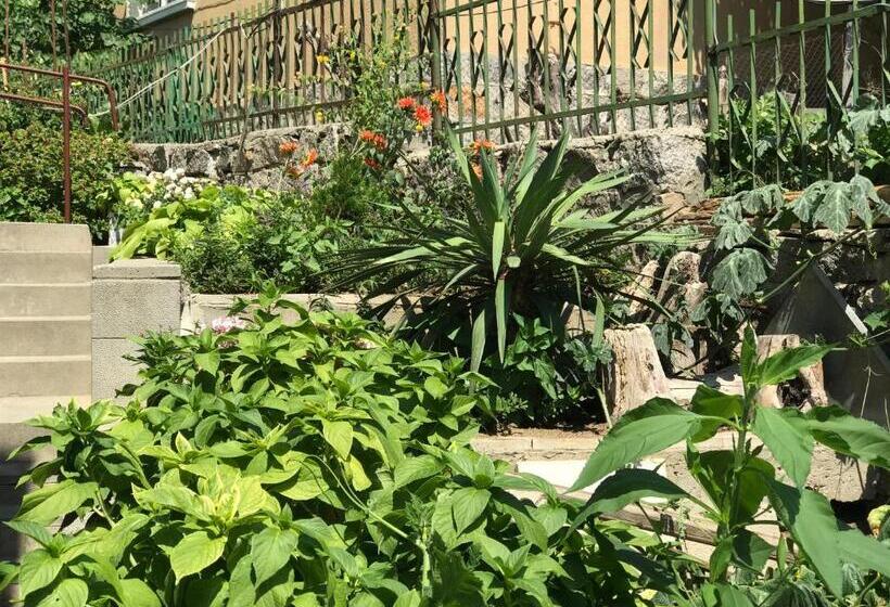 پانسیون Kavakka