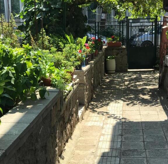 پانسیون Kavakka