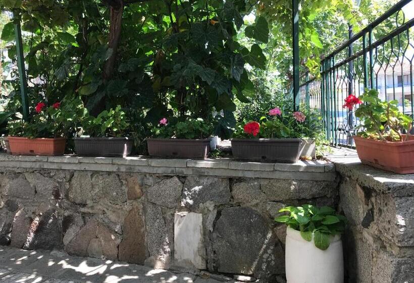 پانسیون Kavakka