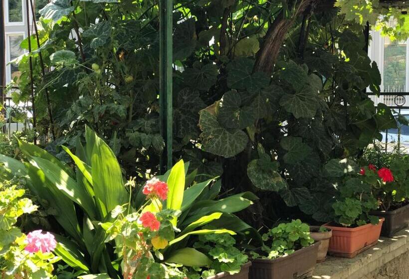 پانسیون Kavakka