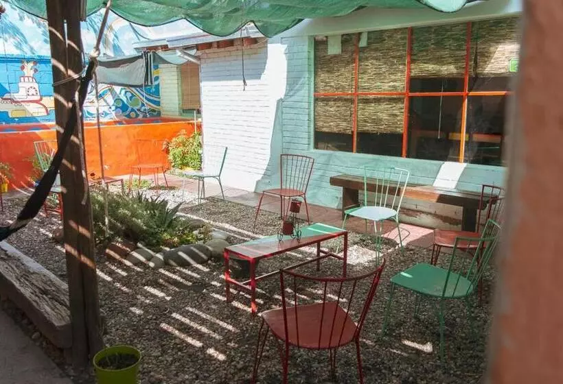 ペンション Hostel Trotamundos