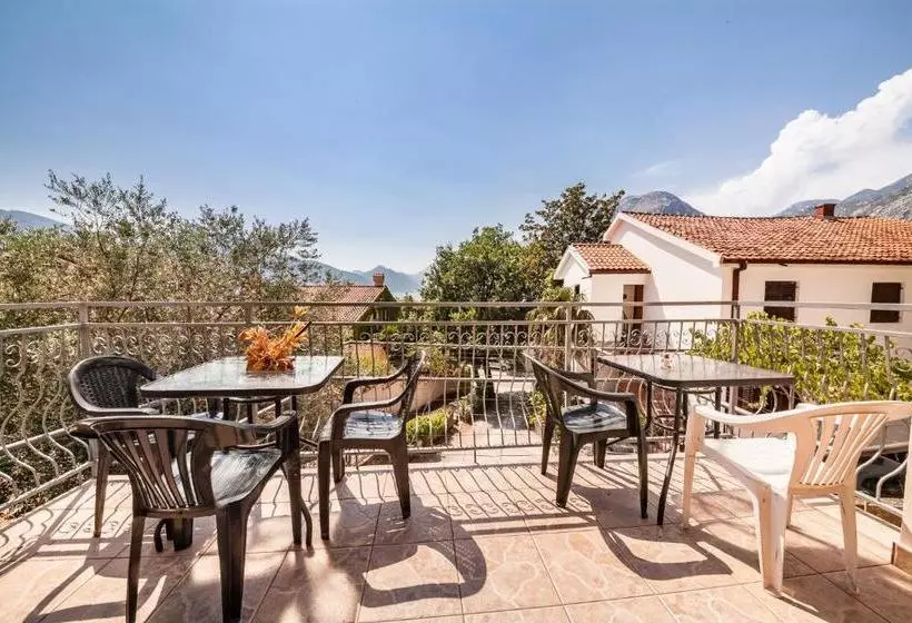 پانسیون Alex Guesthouse