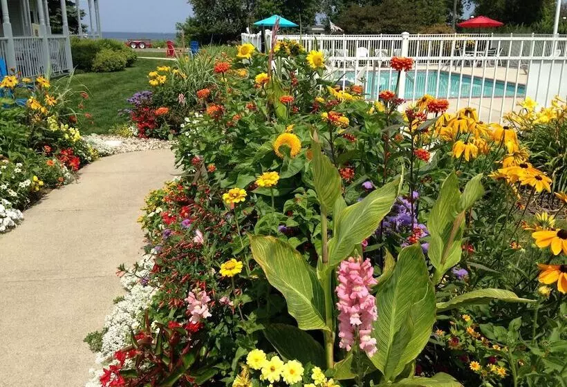 ホテル Bay Breeze Resort